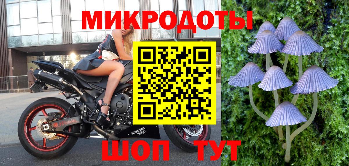 Псилоцибиновые грибы GOLDEN TEACHER Электросталь